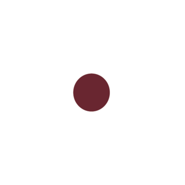 OASIS® EASY COLOUR Spray - Bordo 400ml