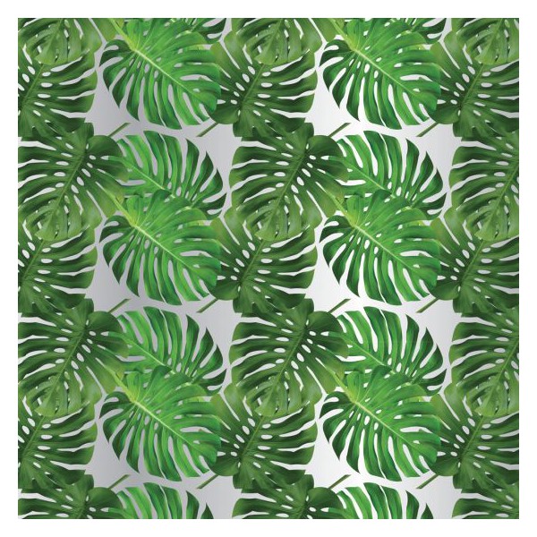 OASIS® FOLIJA MAT - Cheese  80cmx50m