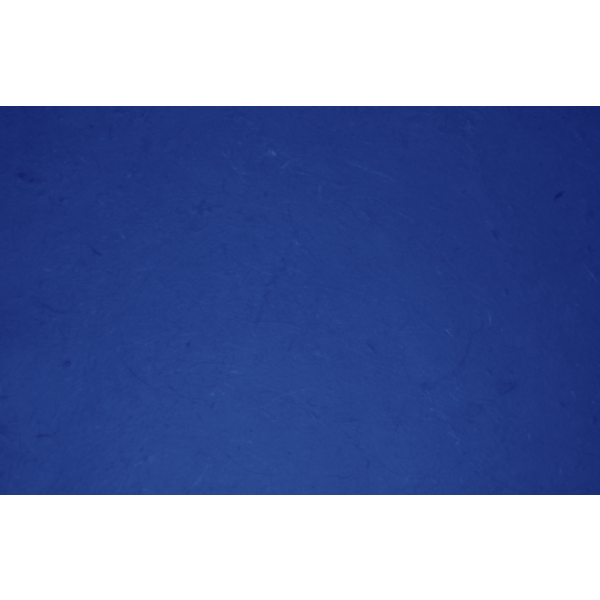 Banana papir - Rola - Temno modra - 1m x 25m