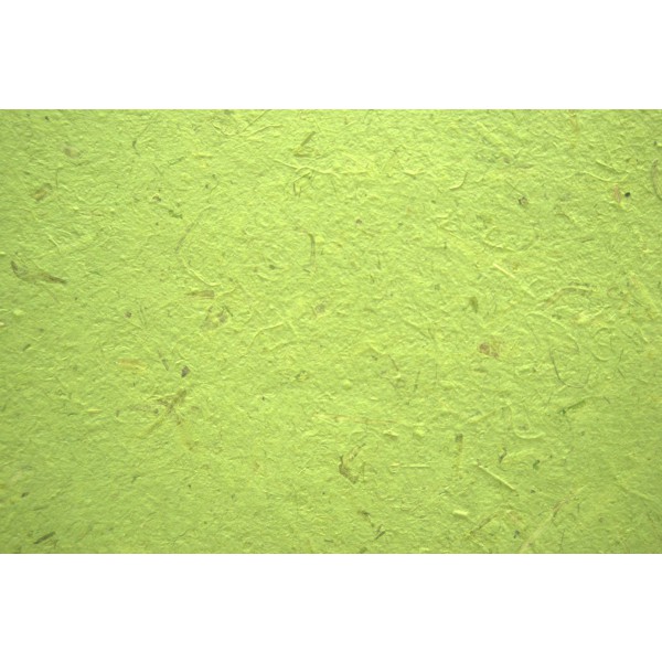 Banana papir - Rola - Olivno zelena - 1m x 25m