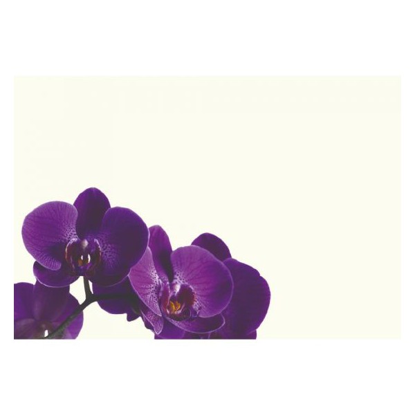 OASIS® VIZITKA -  Vijolična orhideja 50 kom/pak