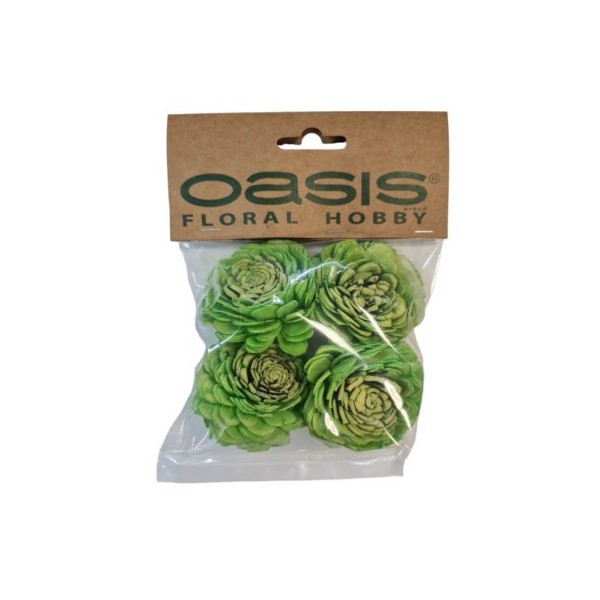OASIS® Dekorativni cvet  Zelen / 4 kos