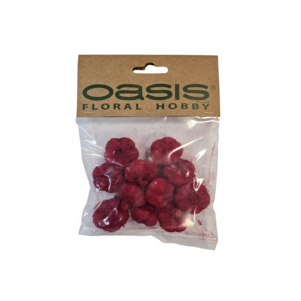 OASIS® Popki cvetov Rdeči